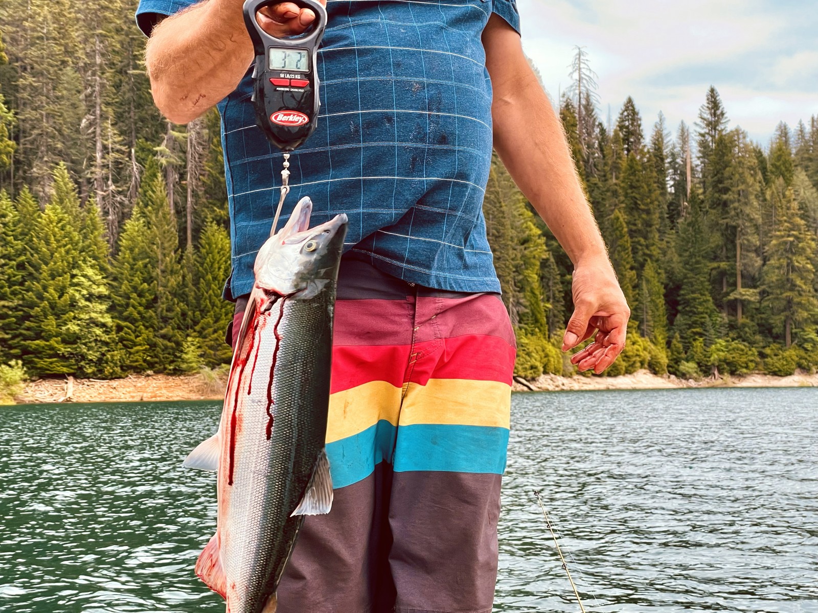 Personal best kokanee caught at Sly Creek Reservoir